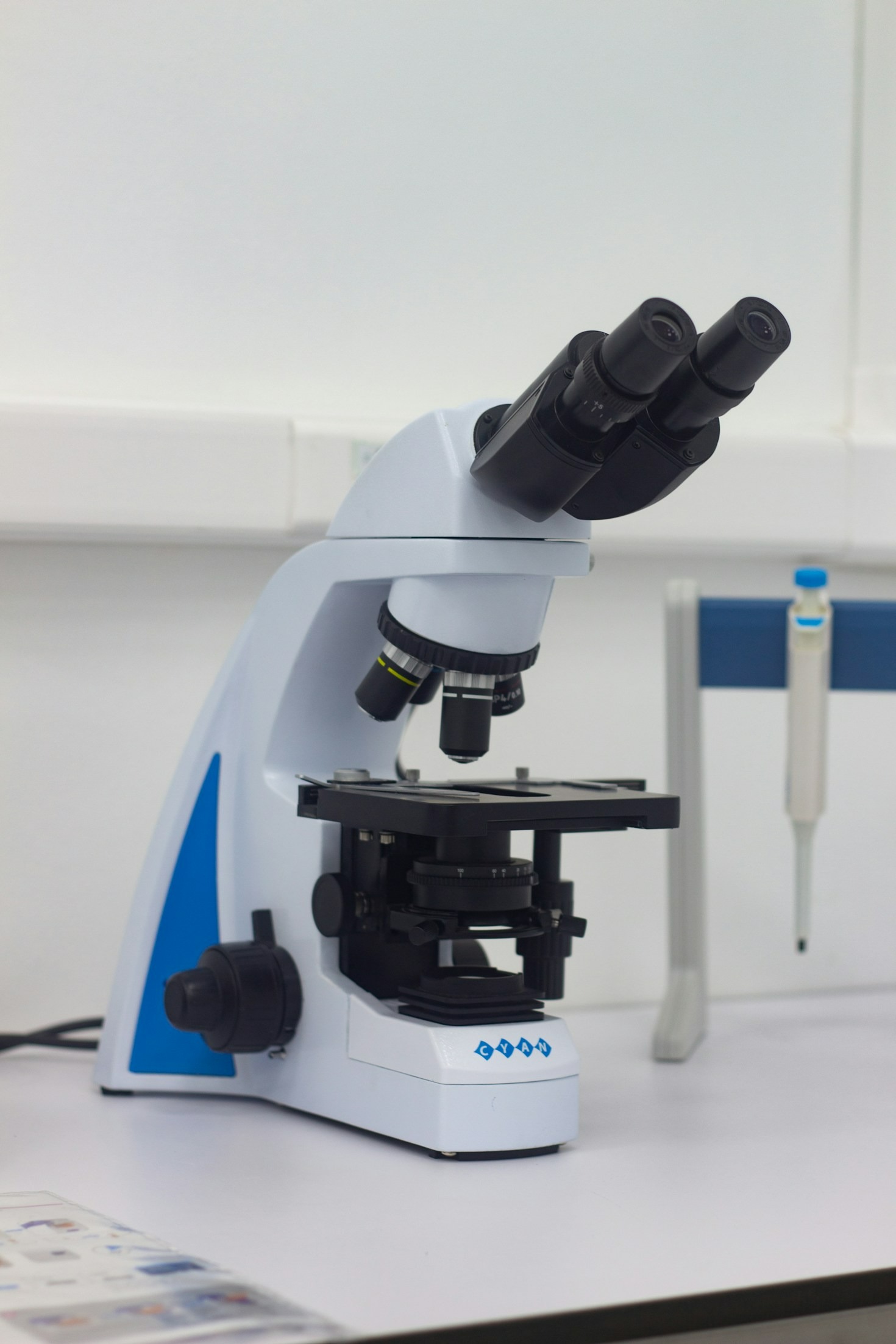 Understanding The Basics Of Spore Print Analysis