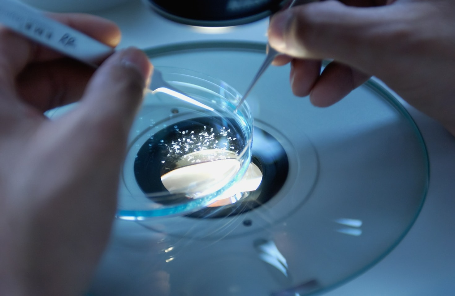 The Evolution Of Modern Microscopy Techniques