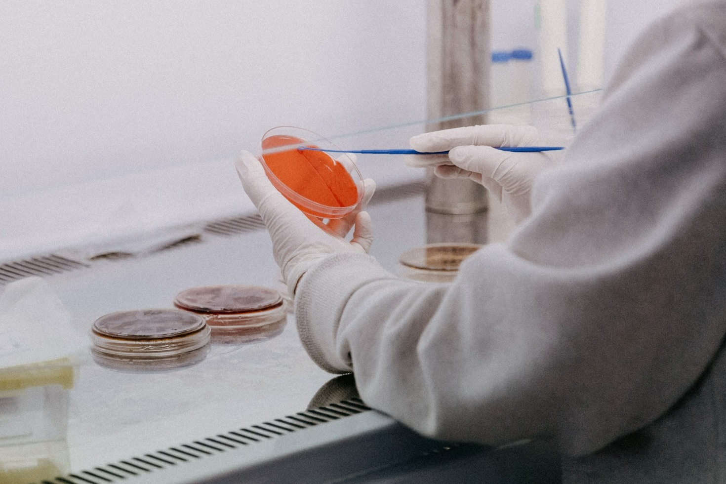 Advancements In Sustainable Mycology Collection Methods